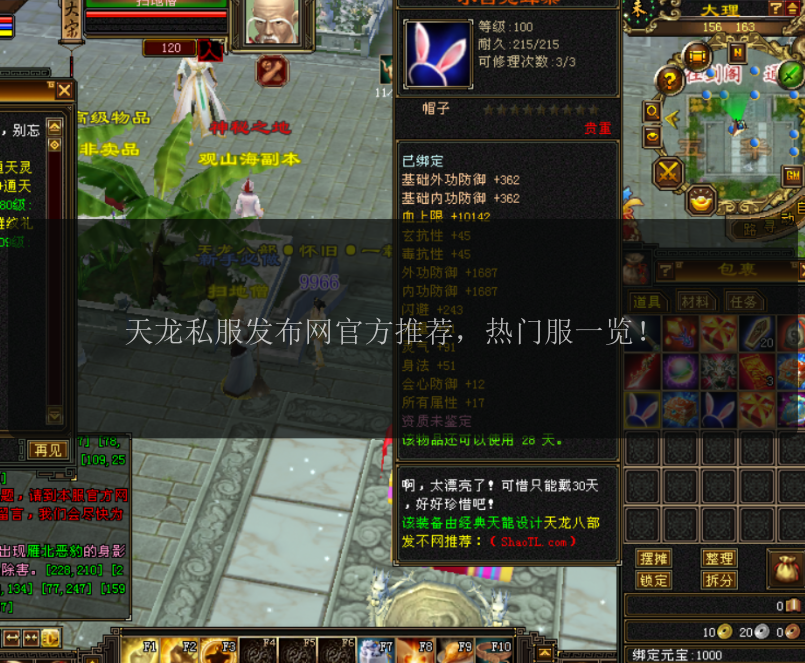天龙私服发布网官方推荐，热门服一览！