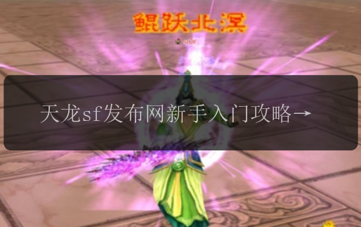 天龙sf发布网新手入门攻略，一看就会！