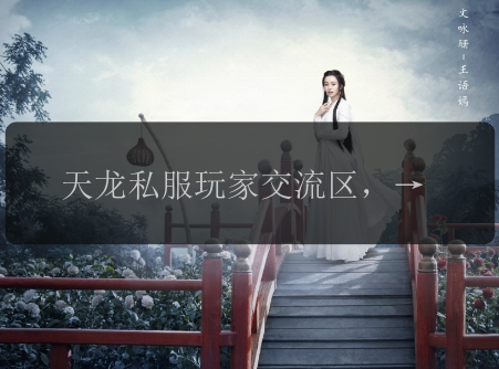 天龙私服玩家交流区，最新心得体会分享！